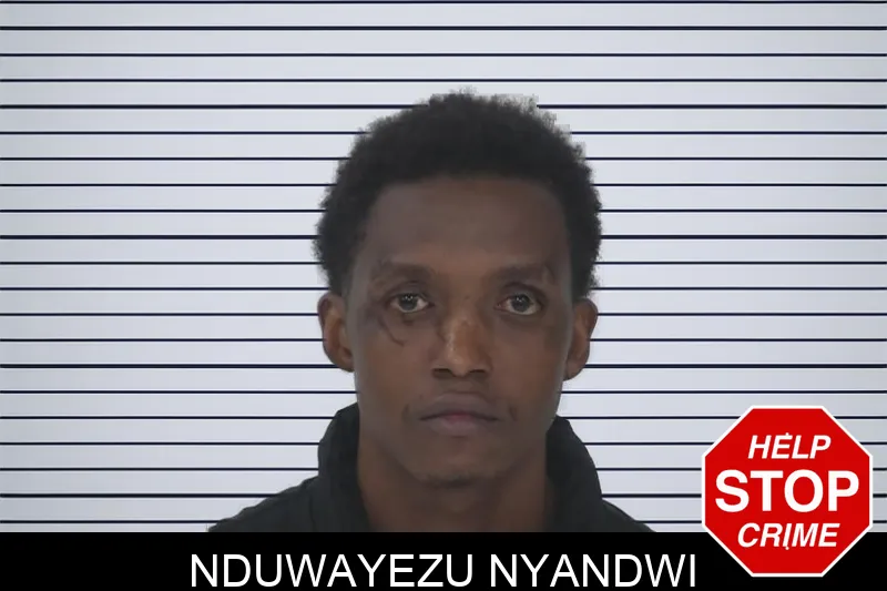 Nduwayezu Nyandwi mugshot – Fayette County , Georgia Nduwayezu Nyandwi mugshot