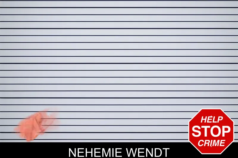 Nehemie Wendt mugshot