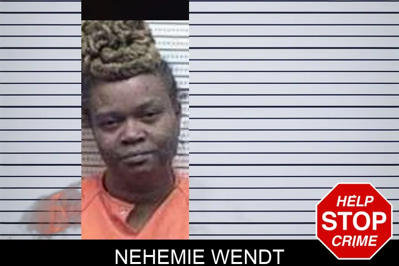 Nehemie Wendt mugshot