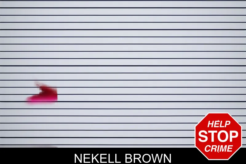 Nekell Brown mugshot – Chattooga County , Georgia Nekell Brown mugshot