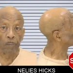 Nelies Hicks mugshot