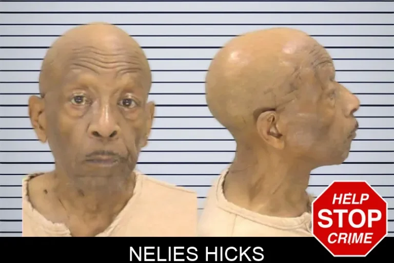 Nelies Hicks mugshot – Richmond County , Georgia Nelies Hicks
