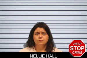 Nellie Hall mugshot