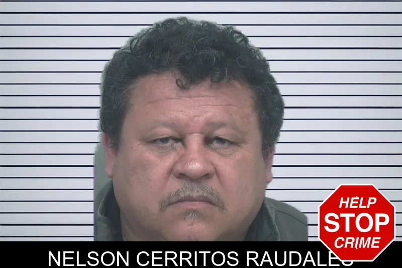 Nelson Cerritos Raudales mugshot – Gwinnett County , Georgia Nelson Cerritos Raudales mugshot