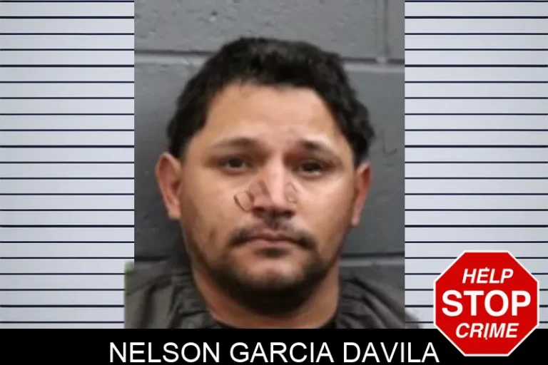 Nelson Garcia Davila