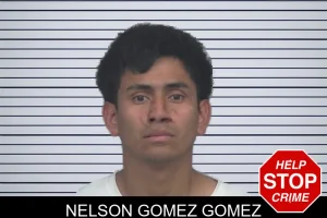 Nelson Gomez Gomez mugshot