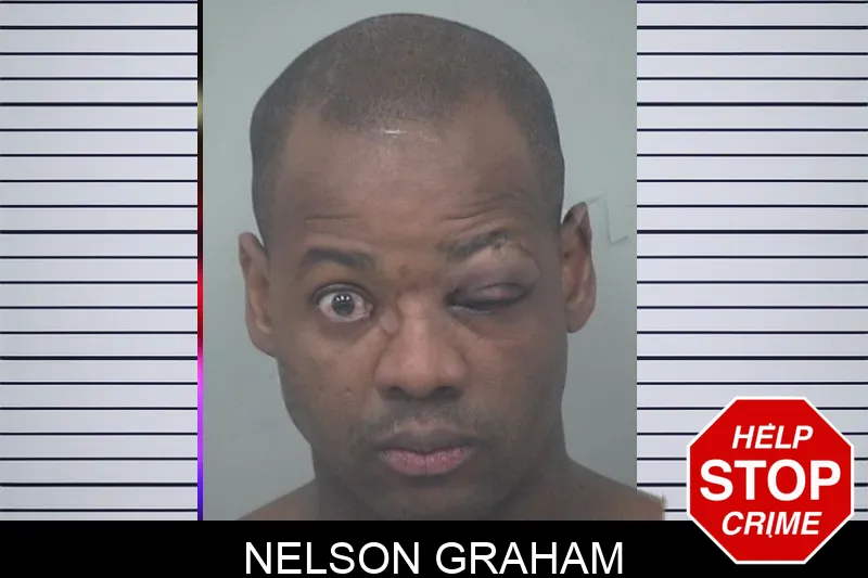 Nelson Graham mugshot – Gwinnett County , Georgia Nelson Graham mugshot
