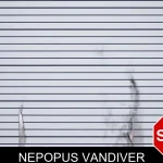 Nepopus Vandiver mugshot