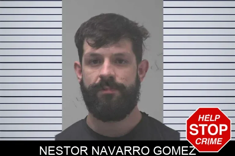 Nestor Navarro Gomez