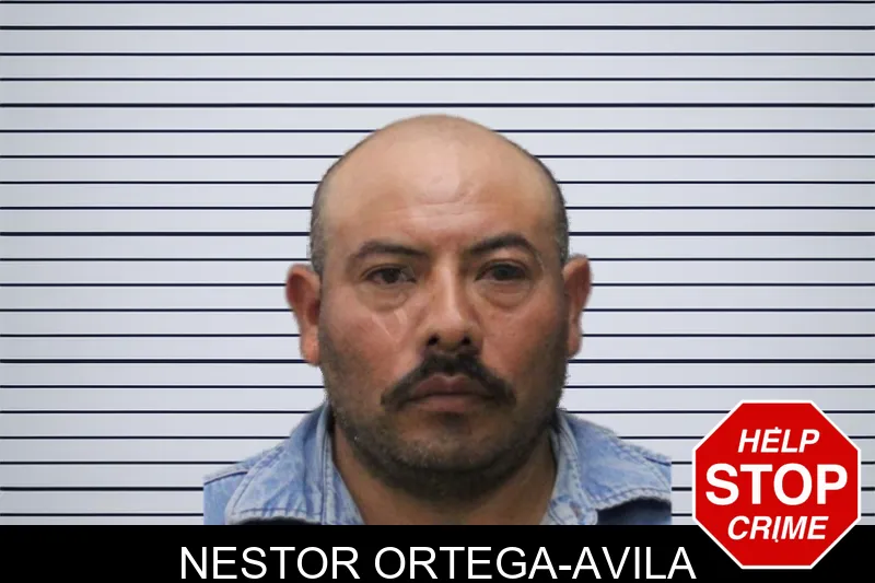 Nestor Ortega-Avila mugshot