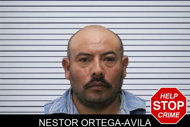 Nestor Ortega-Avila