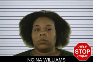 Ngina Williams mugshot
