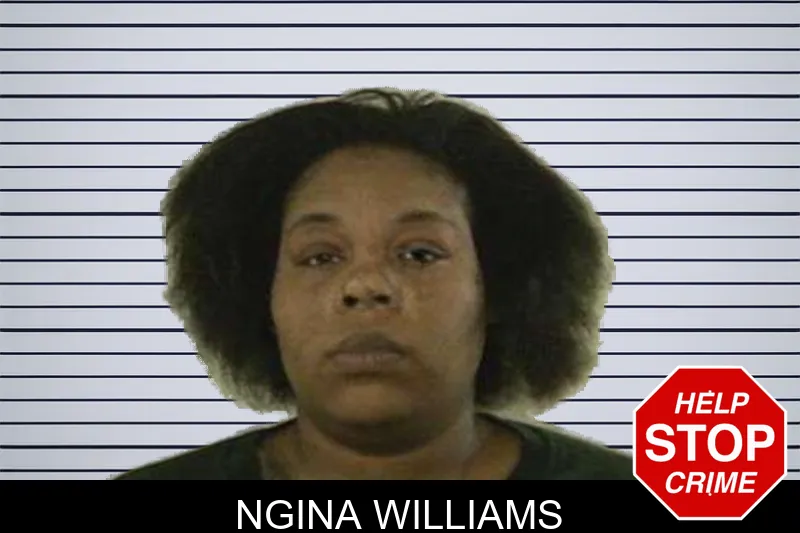 Ngina Williams mugshot