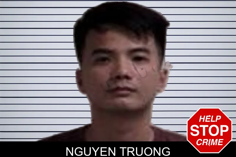 Nguyen Truong mugshot