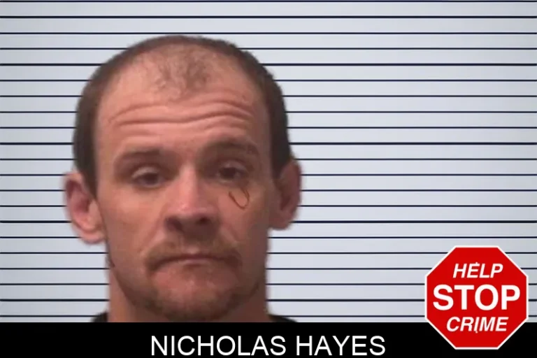 Nicholas Hayes mugshot – Franklin County , Georgia Nicholas Hayes