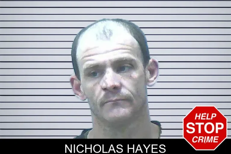 Nicholas Hayes