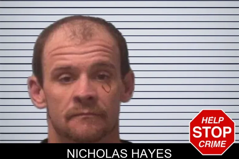 Nicholas Hayes mugshot – Franklin County , Georgia Nicholas Hayes