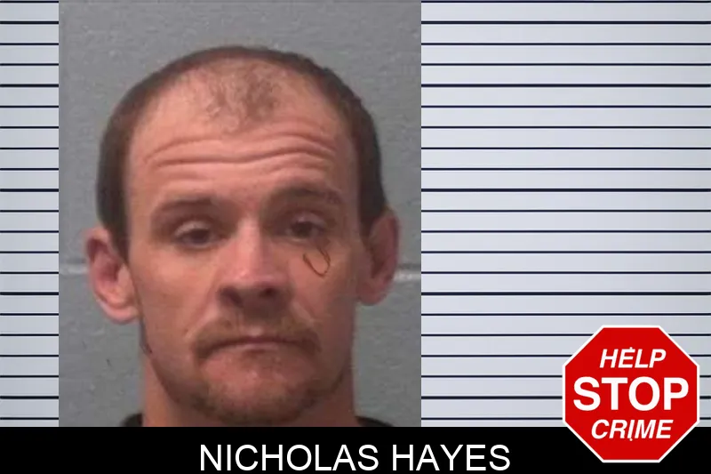 Nicholas Hayes mugshot – Franklin County , Georgia Nicholas Hayes mugshot