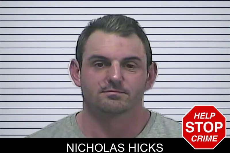 Nicholas Hicks mugshot – Dawson County , Georgia Nicholas Hicks mugshot