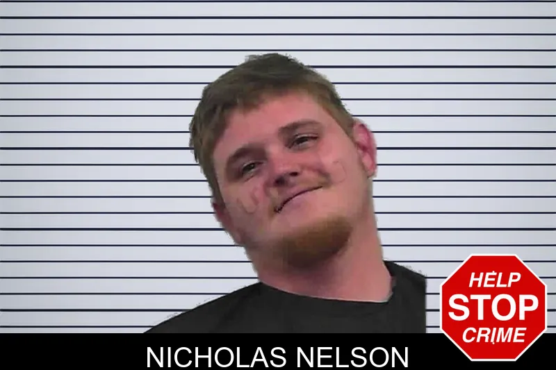 Nicholas Nelson mugshot
