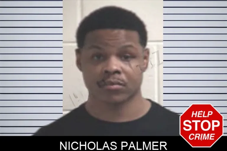 Nicholas Palmer mugshot – Henry County , Georgia Nicholas Palmer