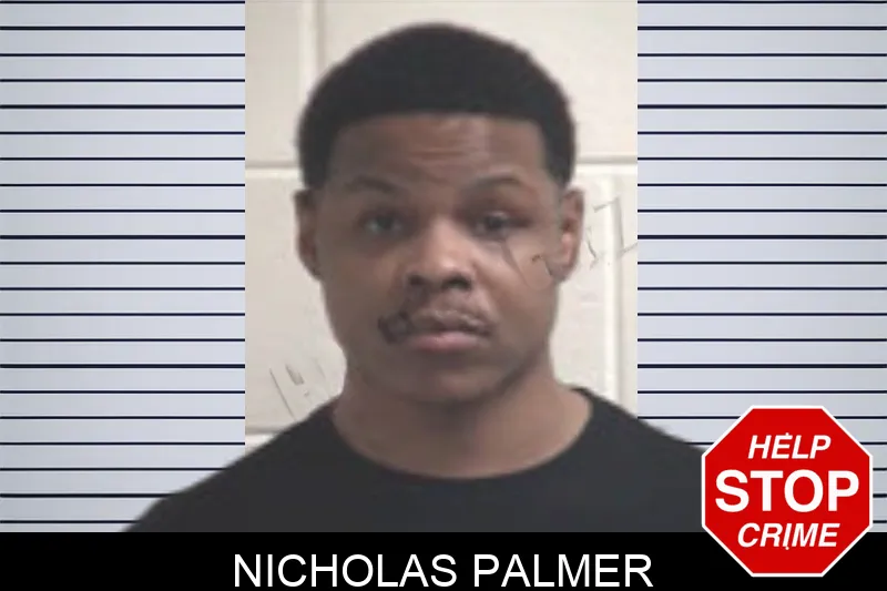 Nicholas Palmer mugshot