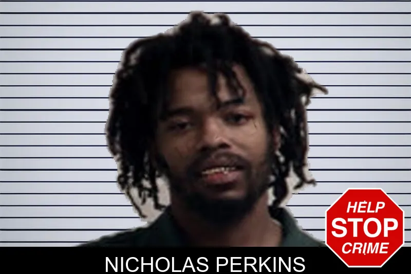 Nicholas Perkins mugshot