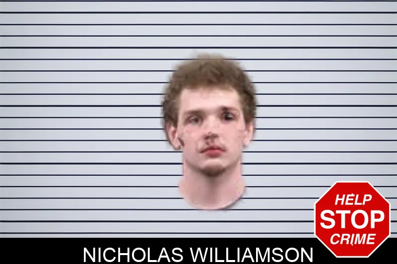 Nicholas Williamson mugshot – Banks County , Georgia Nicholas Williamson mugshot