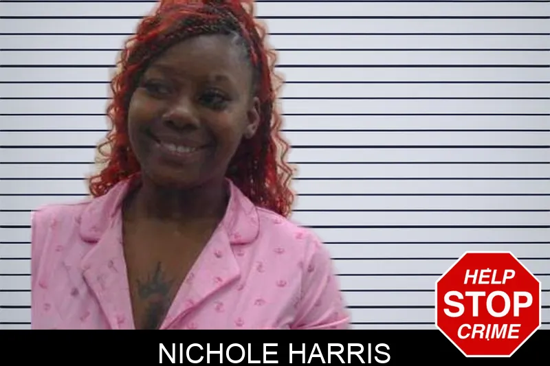 Nichole Harris mugshot