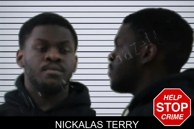 Nickalas Terry mugshot – Houston County , Georgia Nickalas Terry mugshot