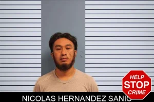 Nicolas Hernandez Sanic mugshot