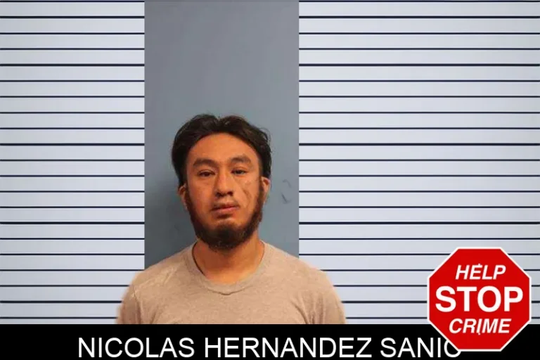 Nicolas Hernandez Sanic
