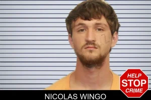 Nicolas Wingo mugshot