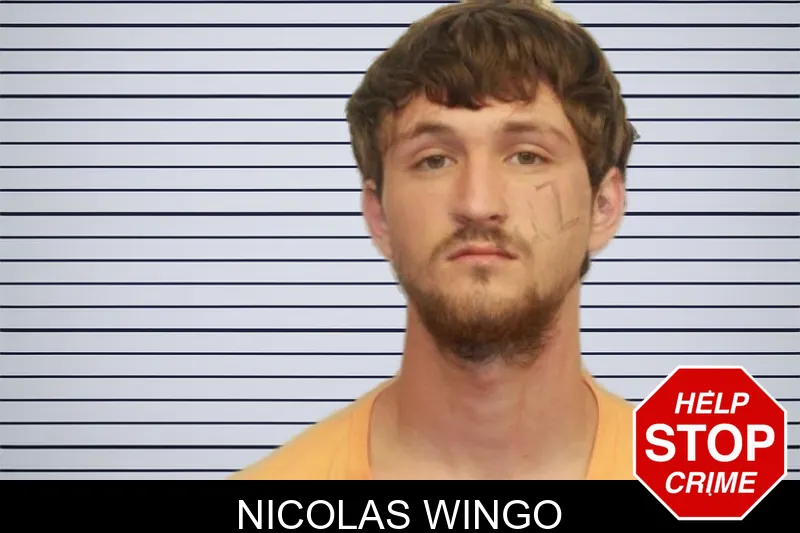 Nicolas Wingo mugshot
