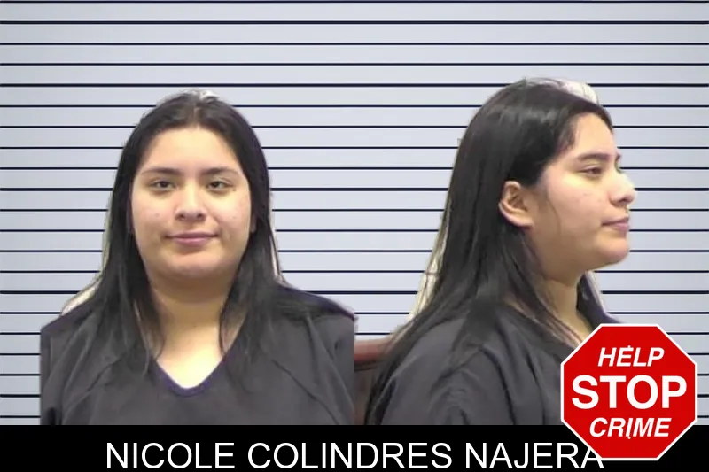 Nicole Colindres Najera mugshot