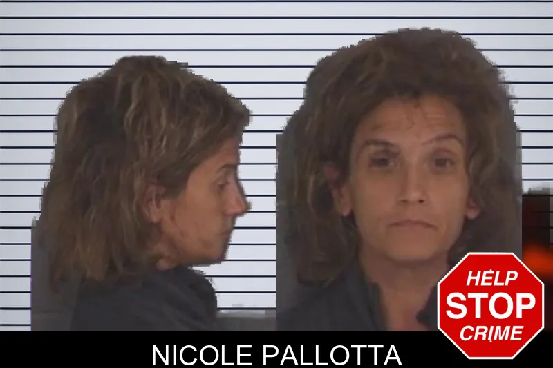 Nicole Pallotta mugshot – Barrow County , Georgia Nicole Pallotta mugshot