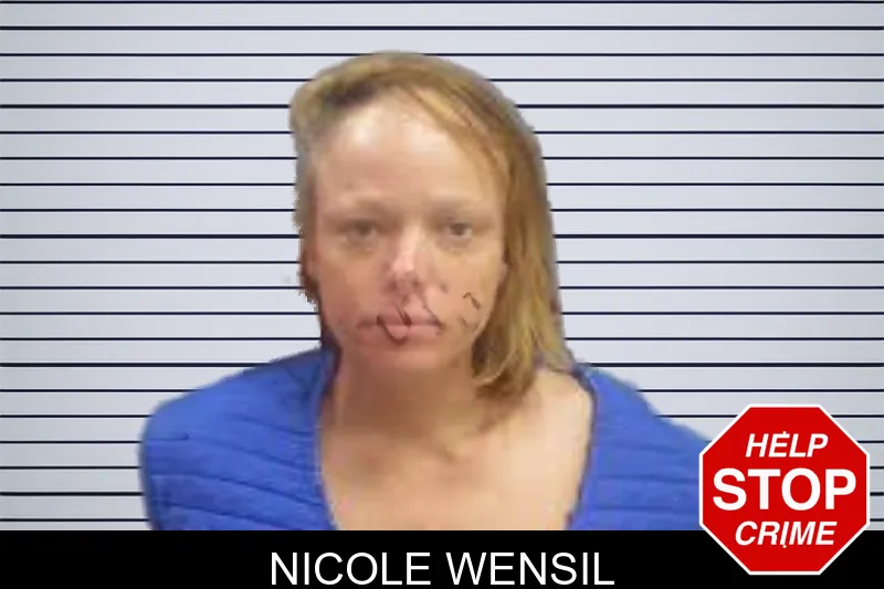 Nicole Wensil mugshot
