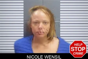 Nicole Wensil mugshot