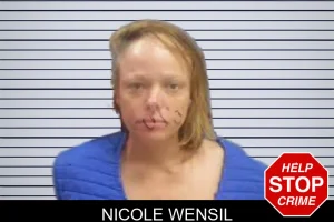 Nicole Wensil mugshot