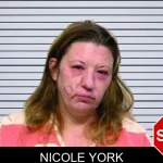 Nicole York mugshot – Bartow County , Georgia Nicole York mugshot