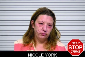 Nicole York mugshot