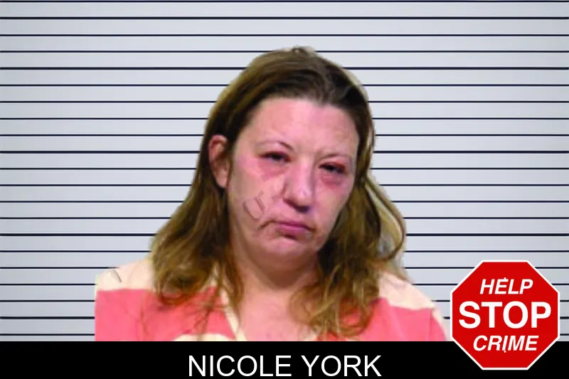 Nicole York mugshot