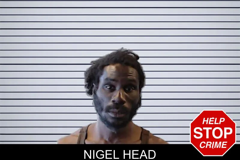 Nigel Head mugshot