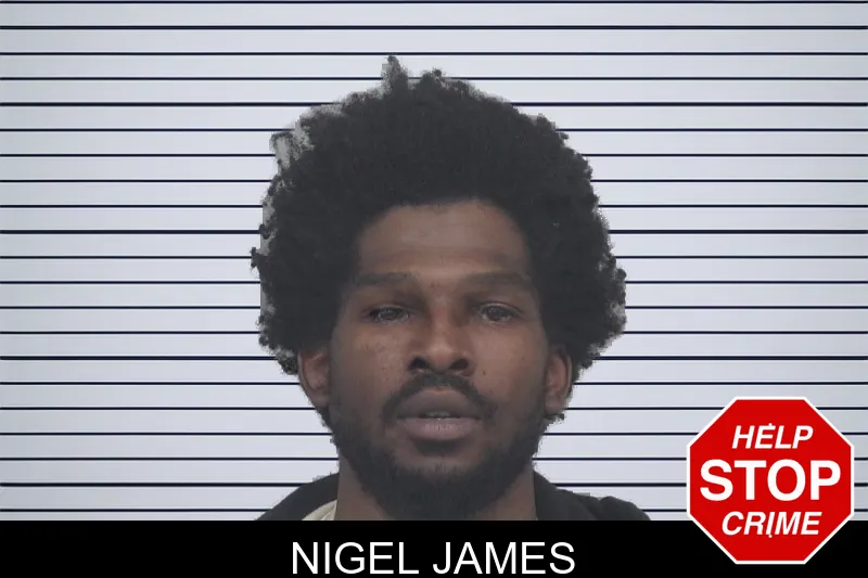 Nigel James mugshot