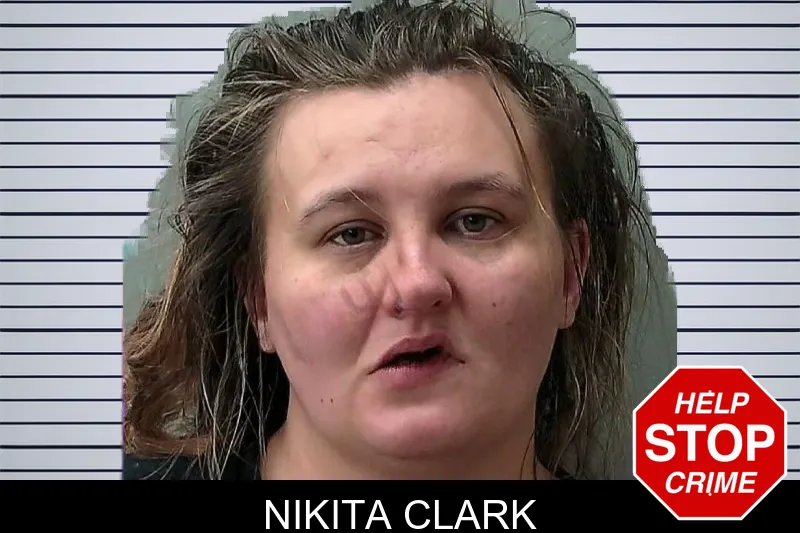 Nikita Clark mugshot