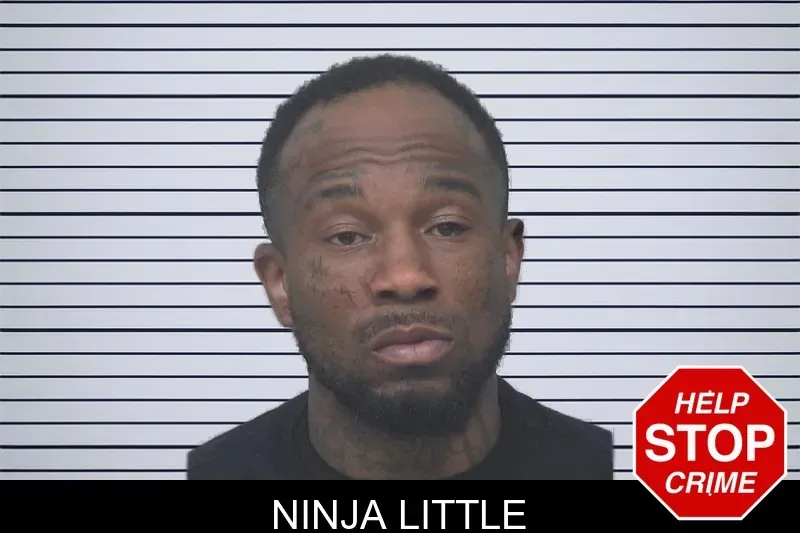 Ninja Little mugshot