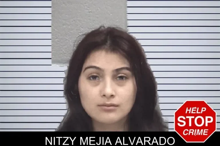 Nitzy Mejia Alvarado