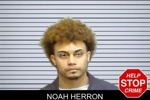 Noah Herron mugshot