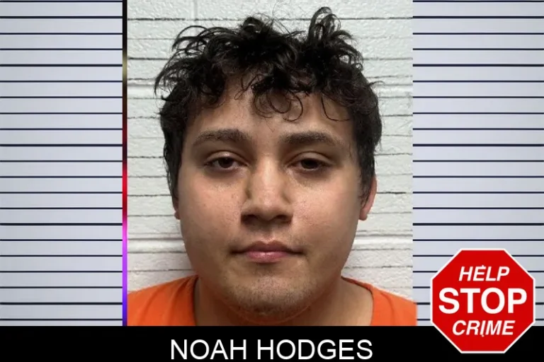 Noah Hodges mugshot – Dade County , Georgia Noah Hodges