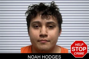 Noah Hodges mugshot